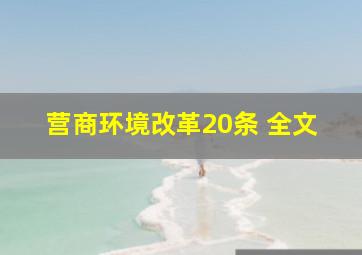 营商环境改革20条 全文